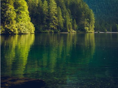 食品工業(yè)廢水處理造紙工業(yè)廢水處理方法有哪些 食品工業(yè)廢水處理造紙工業(yè)廢水處理方法有哪些