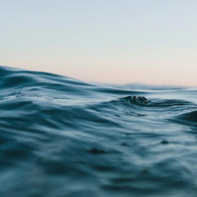 1660123219181609.jpg 22.jpg