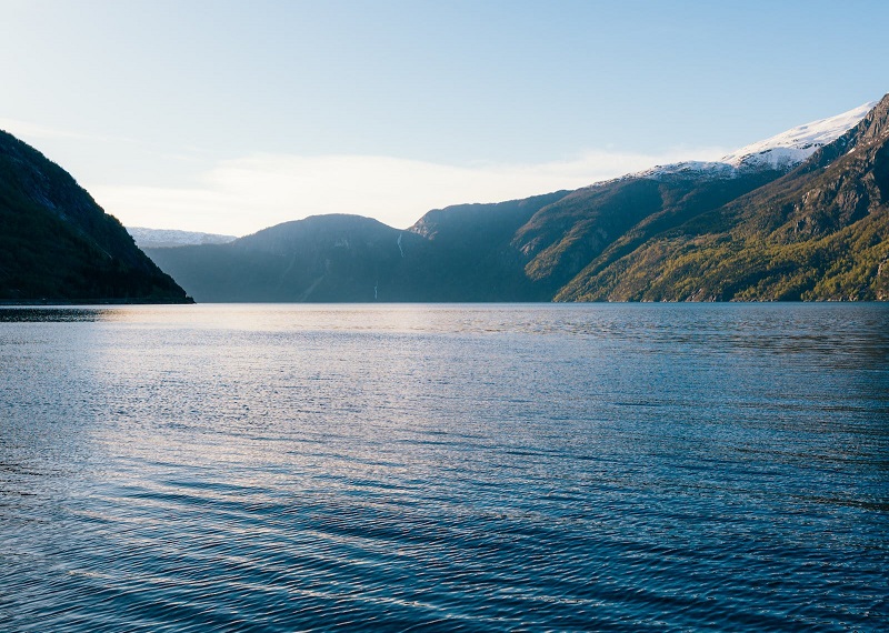 1692784228768823.jpg 114.jpg